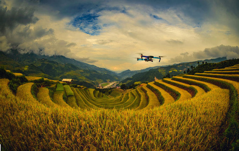 Agri-Tech & sustainability by 2050 in developing countries.